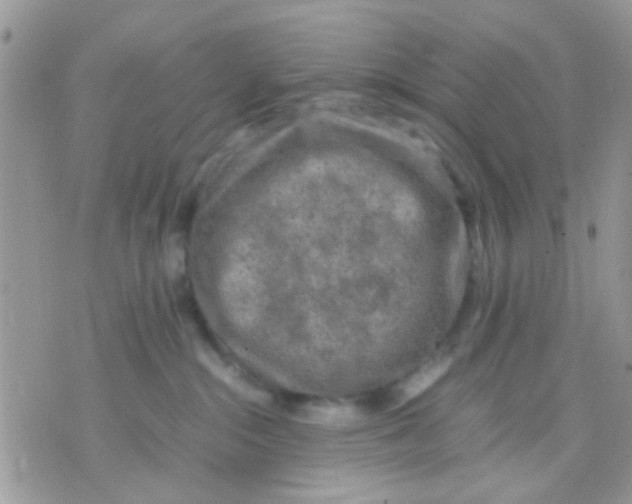 X0000071860284200607211925