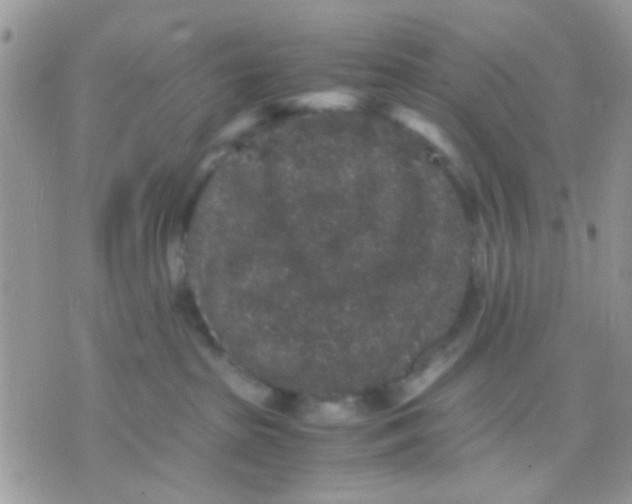 X0000071860285200607211925