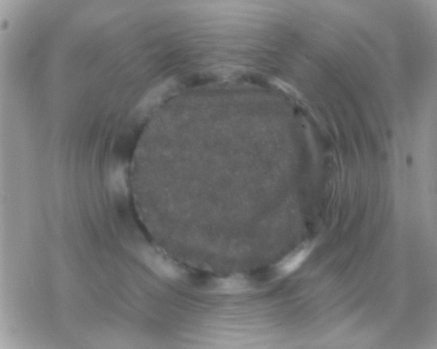 X0000071860286200607211925