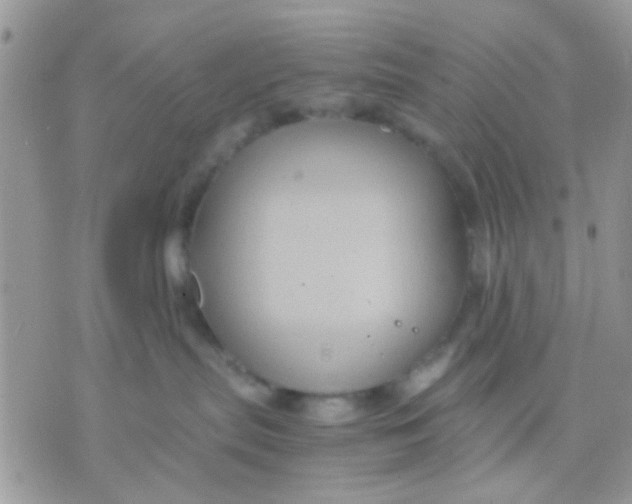 X0000071860287200607211925