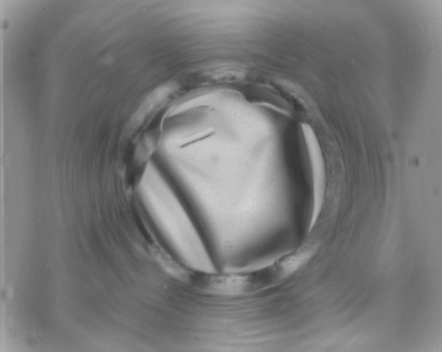 X0000071860288200607211925