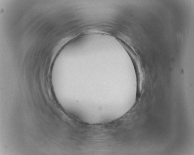 X0000071860289200607211924