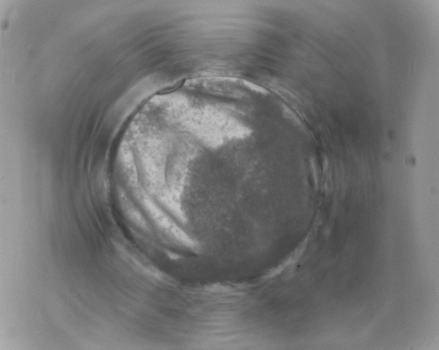 X0000071860290200607211924