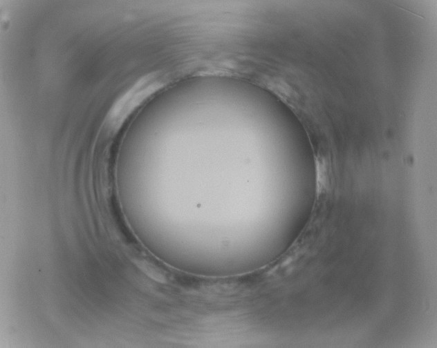 X0000071860291200607211924