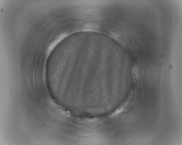 X0000071860292200607211924