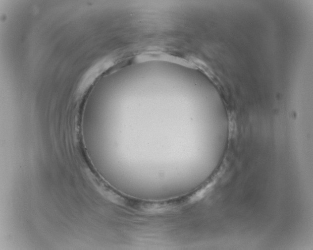 X0000071860293200607211924