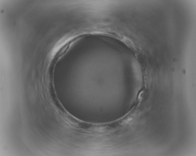 X0000071860295200607211924