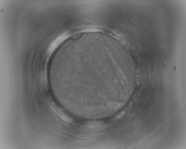 X0000071860296200607211924