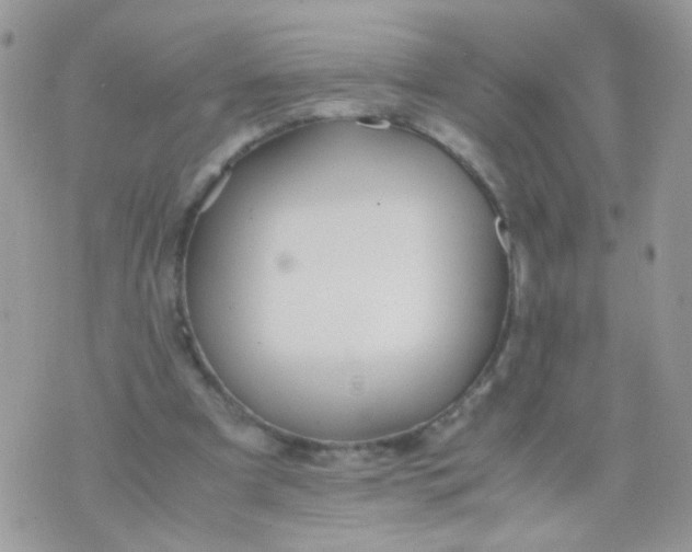 X0000071860297200607211924