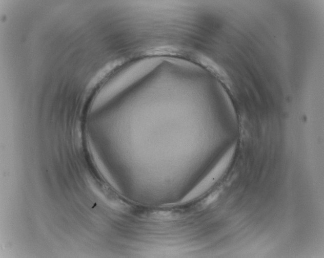 X0000071860298200607211924