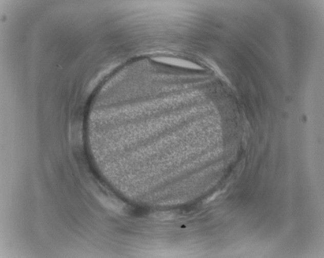 X0000071860299200607211924