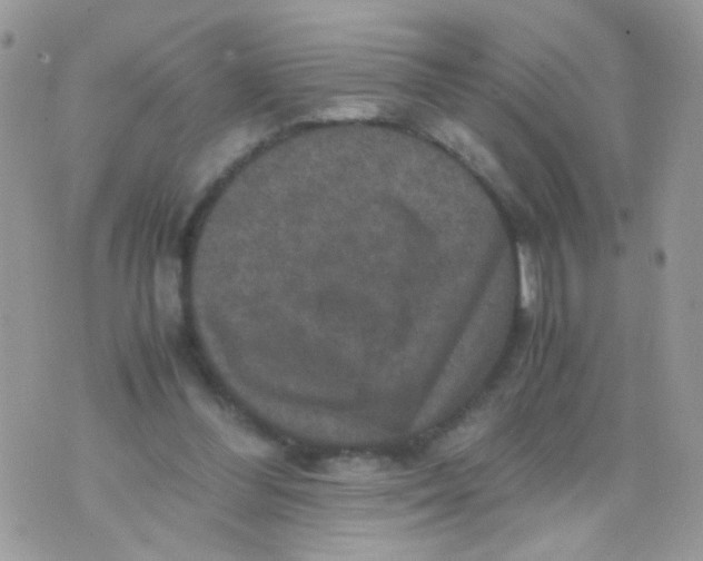 X0000071860300200607211924