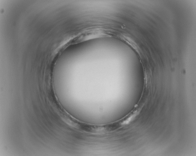 X0000071860301200607211924