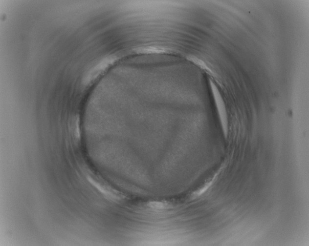 X0000071860302200607211924