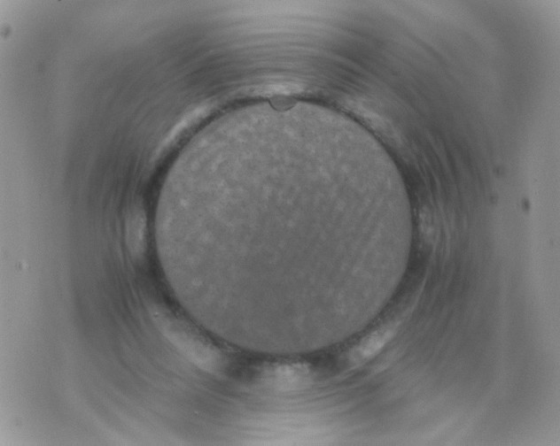 X0000071860304200607211924