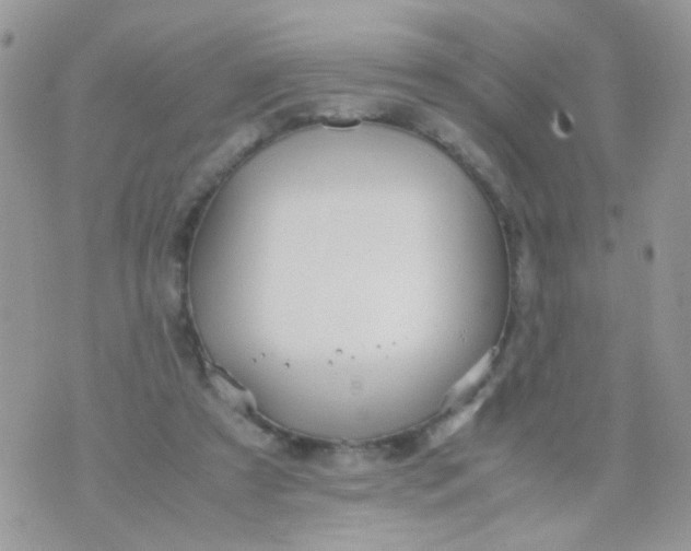 X0000071860305200607211924