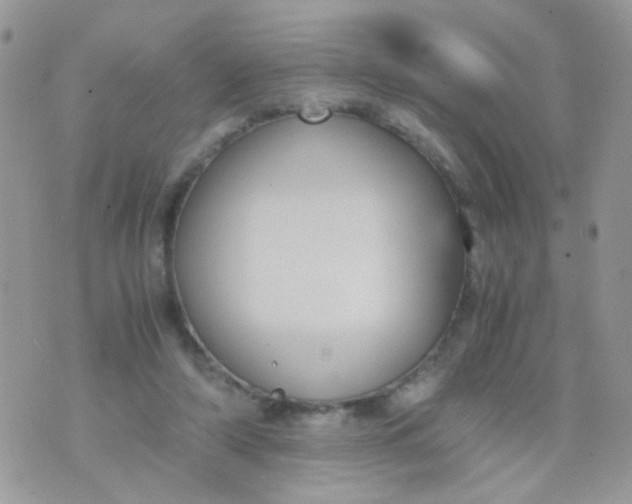 X0000071860306200607211924