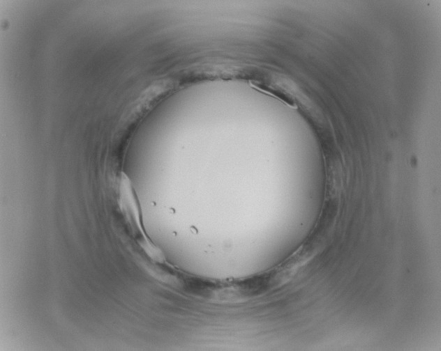 X0000071860309200607211924