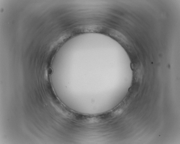 X0000071860310200607211924