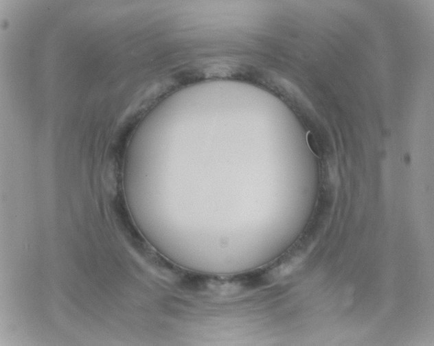 X0000071860311200607211924