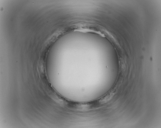 X0000071860313200607211924