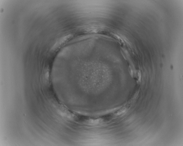 X0000071860314200607211924