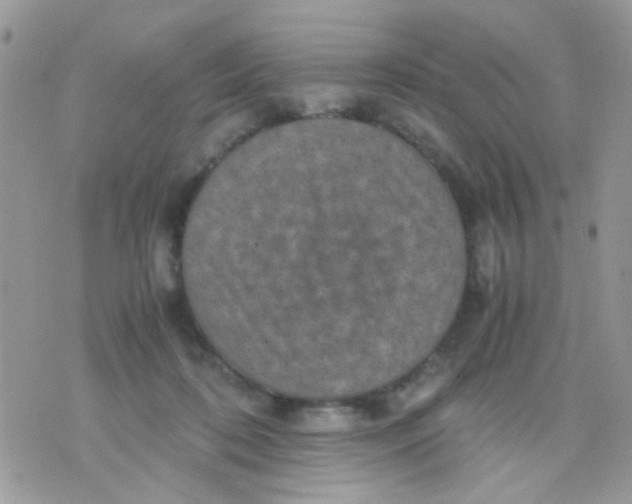 X0000071860316200607211924