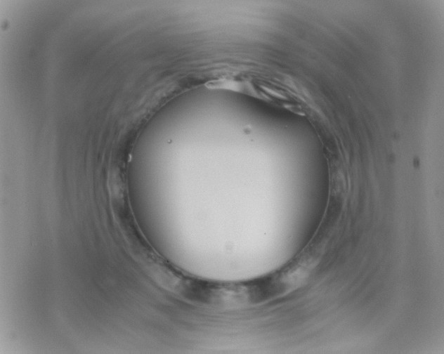 X0000071860317200607211924