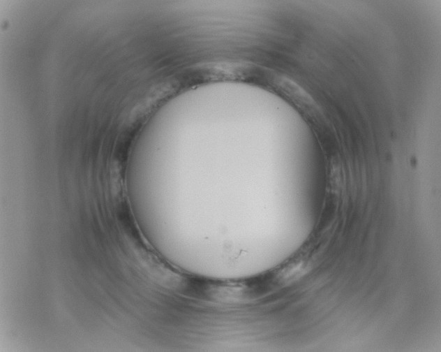 X0000071860318200607211924