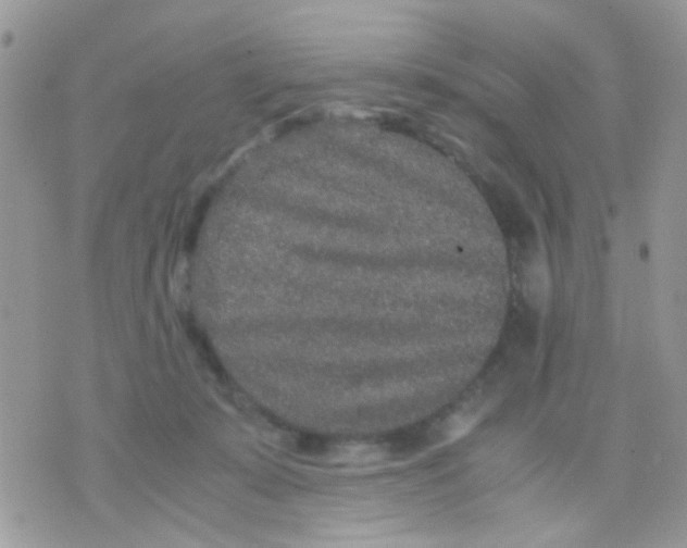 X0000071860319200607211924