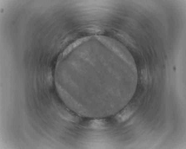 X0000071860320200607211924