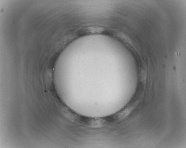 X0000071860321200607211923