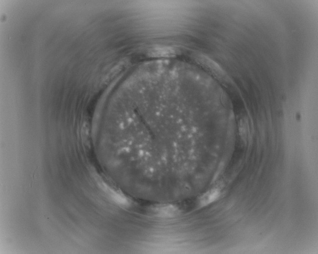 X0000071860322200607211923