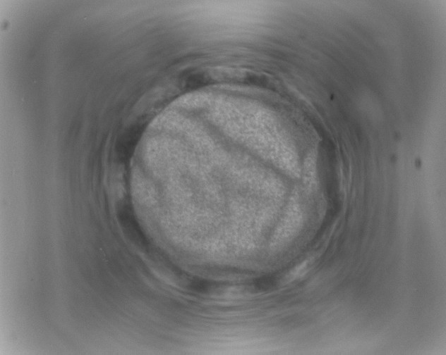 X0000071860323200607211923