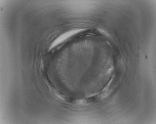 X0000071860325200607211923