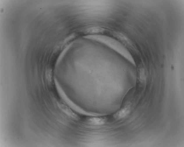 X0000071860326200607211923