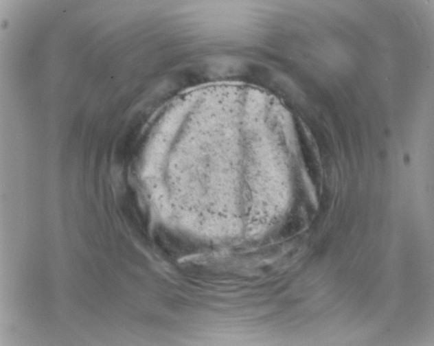 X0000071860327200607211923