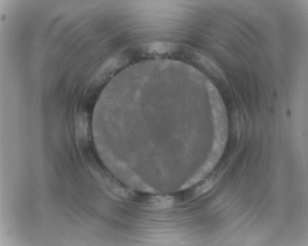 X0000071860328200607211923