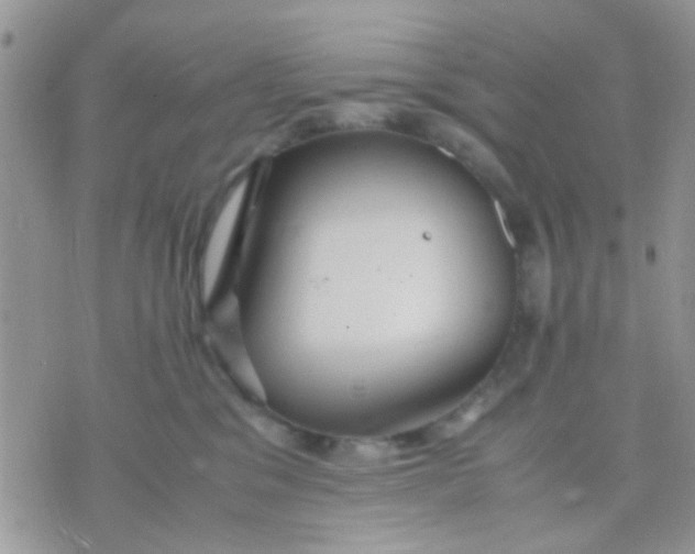 X0000071860329200607211923