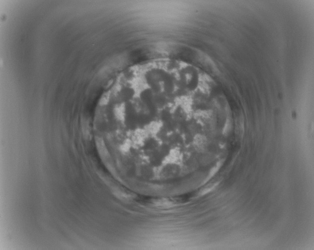 X0000071860331200607211923