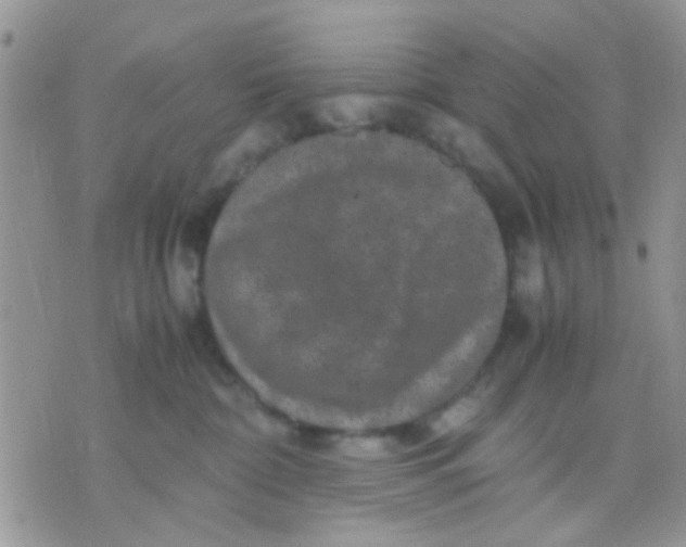 X0000071860332200607211923