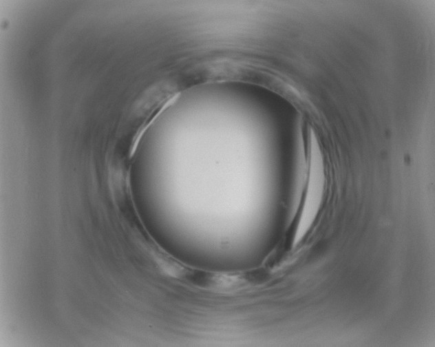 X0000071860333200607211923