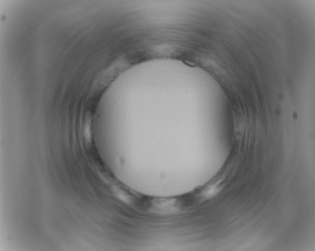 X0000071860334200607211923