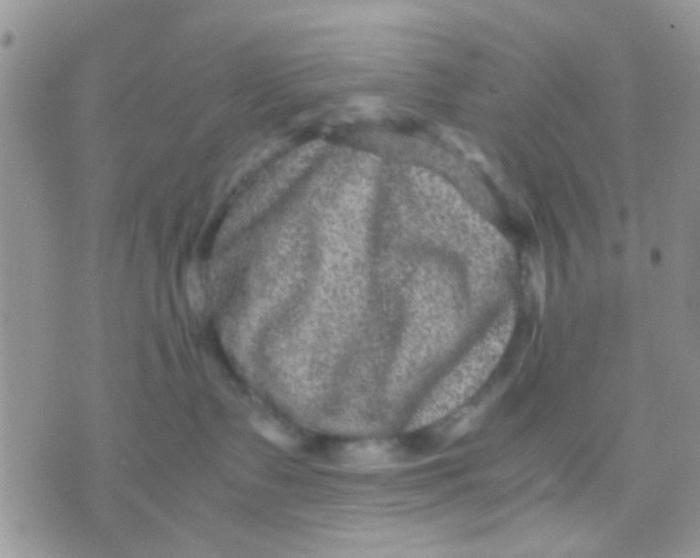 X0000071860335200607211923