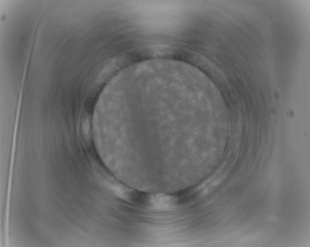 X0000071860336200607211923