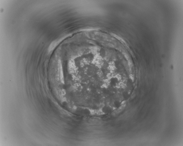 X0000071860337200607211922