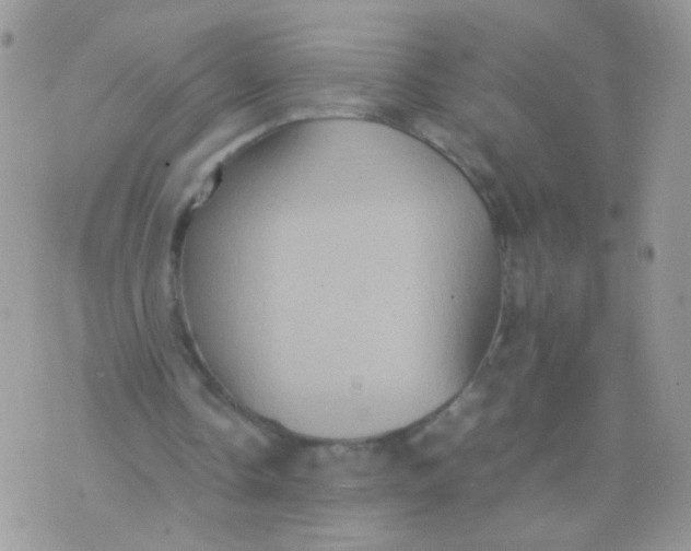 X0000071860338200607211922