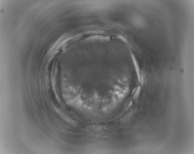 X0000071860339200607211922