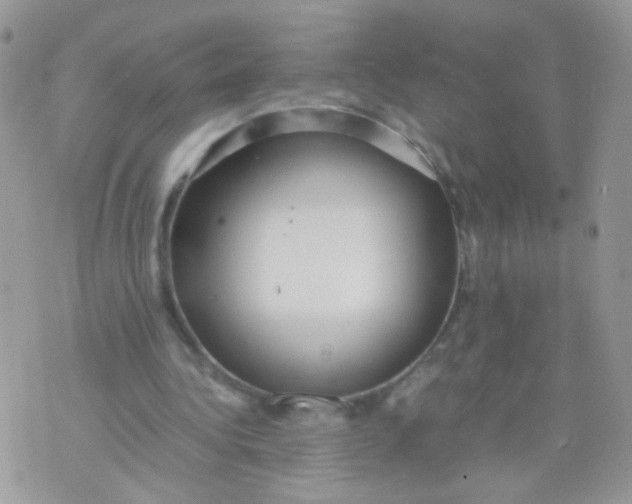 X0000071860340200607211923