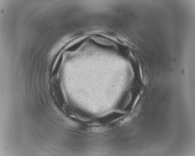 X0000071860341200607211923